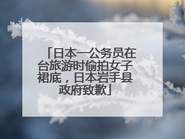 日本一公务员在台旅游时偷拍女子裙底，日本岩手县政府致歉