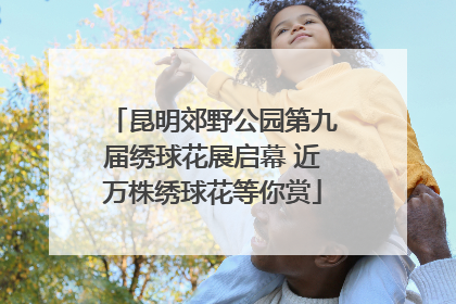 昆明郊野公园第九届绣球花展启幕 近万株绣球花等你赏