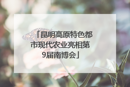 昆明高原特色都市现代农业亮相第9届南博会
