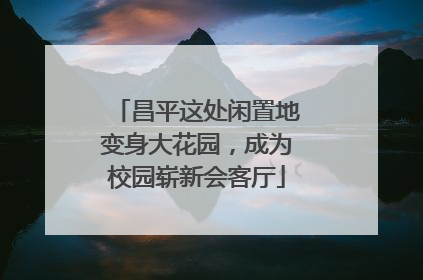昌平这处闲置地变身大花园，成为校园崭新会客厅