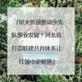 星火传递推动少先队事业发展！河北省打造联建共育体系让红领巾更鲜艳