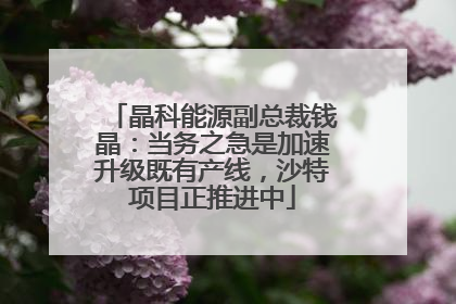 晶科能源副总裁钱晶：当务之急是加速升级既有产线，沙特项目正推进中