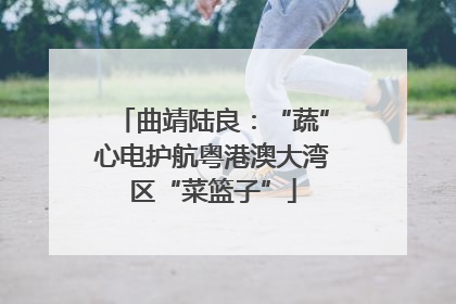 曲靖陆良：“蔬”心电护航粤港澳大湾区“菜篮子”