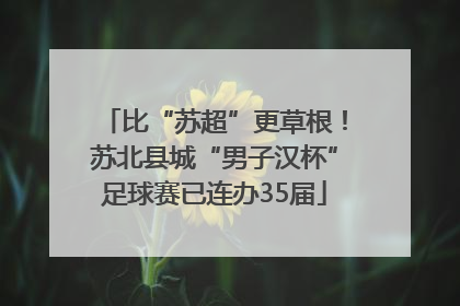 比“苏超”更草根！苏北县城“男子汉杯”足球赛已连办35届