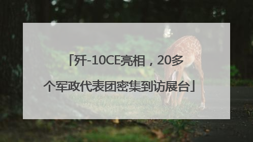 歼-10CE亮相，20多个军政代表团密集到访展台