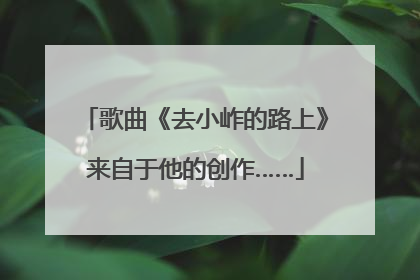 歌曲《去小岞的路上》来自于他的创作……