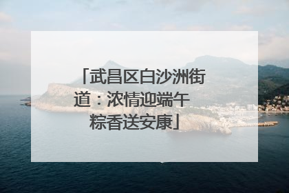 武昌区白沙洲街道：浓情迎端午 粽香送安康