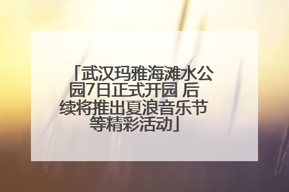 武汉玛雅海滩水公园7日正式开园 后续将推出夏浪音乐节等精彩活动