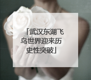 武汉东湖飞鸟世界迎来历史性突破