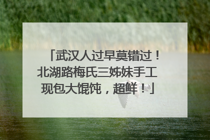 武汉人过早莫错过！北湖路梅氏三姊妹手工现包大馄饨，超鲜！