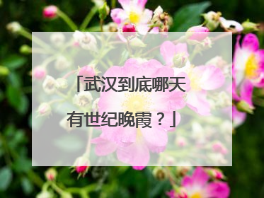 武汉到底哪天有世纪晚霞？