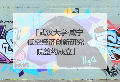 武汉大学·咸宁低空经济创新研究院签约成立