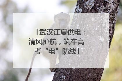武汉江夏供电：清风护航，筑牢高考“电”防线