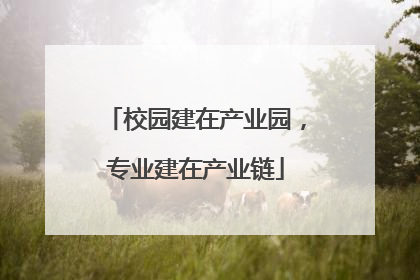 校园建在产业园，专业建在产业链