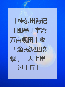 桂东出海记丨即墨丁字湾万亩蚬田丰收！渔民泥里挖蚬，一天上岸过千斤