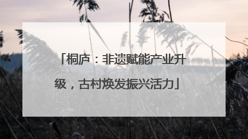 桐庐：非遗赋能产业升级，古村焕发振兴活力