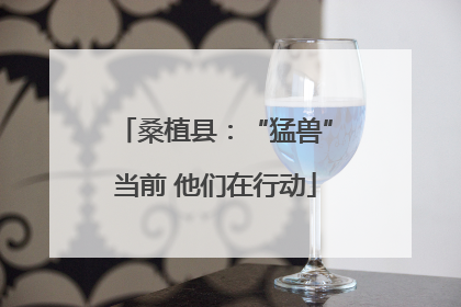桑植县：“猛兽”当前 他们在行动