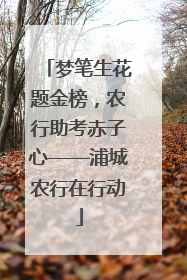 梦笔生花题金榜，农行助考赤子心——浦城农行在行动