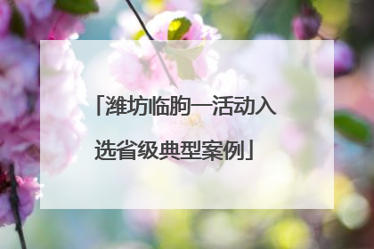 潍坊临朐一活动入选省级典型案例