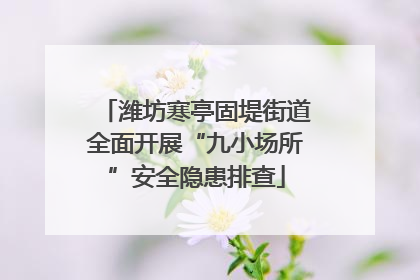 潍坊寒亭固堤街道全面开展“九小场所”安全隐患排查