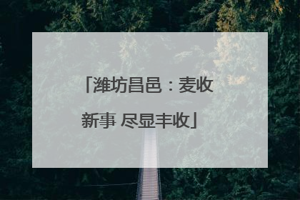 潍坊昌邑：麦收新事 尽显丰收