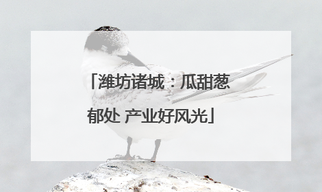 潍坊诸城：瓜甜葱郁处 产业好风光