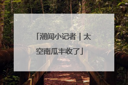 潮闻小记者｜太空南瓜丰收了