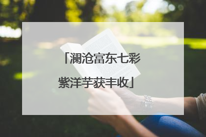 澜沧富东七彩紫洋芋获丰收