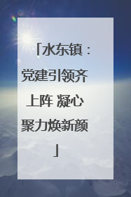 水东镇：党建引领齐上阵 凝心聚力焕新颜