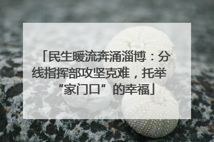 民生暖流奔涌淄博：分线指挥部攻坚克难，托举“家门口”的幸福