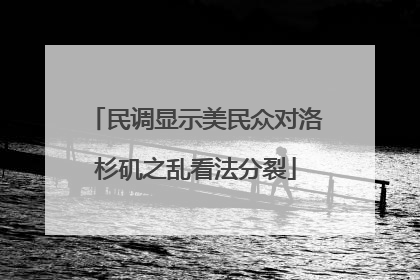 民调显示美民众对洛杉矶之乱看法分裂