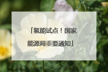 氢能试点！国家能源局重要通知