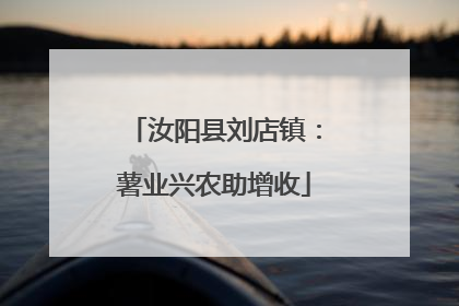 汝阳县刘店镇：薯业兴农助增收