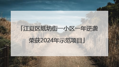 江夏区纸坊街一小区一年逆袭 荣获2024年示范项目