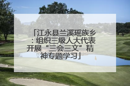 江永县兰溪瑶族乡：组织三级人大代表开展“三会三文”精神专题学习