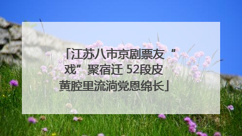 江苏八市京剧票友“戏”聚宿迁 52段皮黄腔里流淌党恩绵长