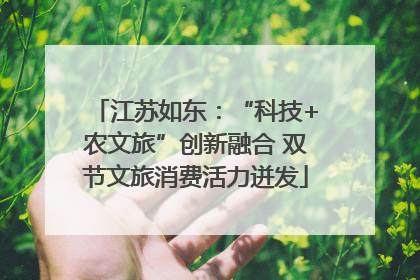 江苏如东：“科技+农文旅”创新融合 双节文旅消费活力迸发