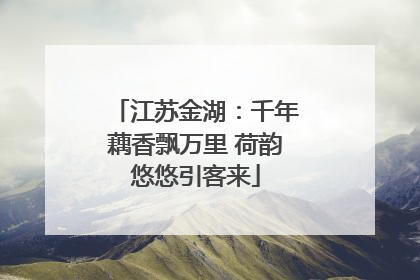江苏金湖：千年藕香飘万里 荷韵悠悠引客来