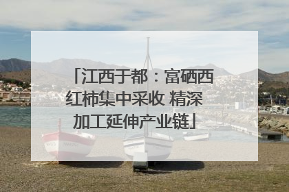 江西于都：富硒西红柿集中采收 精深加工延伸产业链