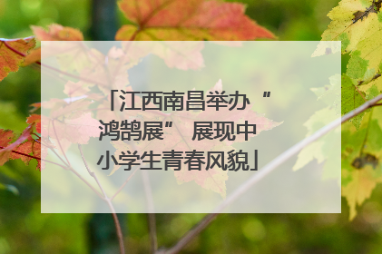 江西南昌举办“鸿鹄展” 展现中小学生青春风貌