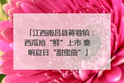 江西南昌县蒋巷镇：西瓜抢“鲜”上市 奏响夏日“甜蜜曲”