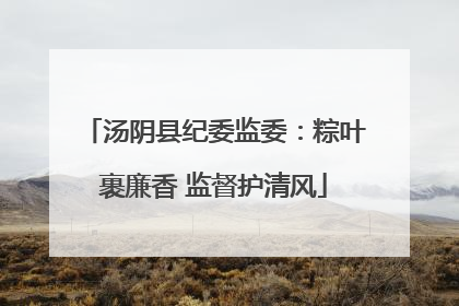 汤阴县纪委监委：粽叶裹廉香 监督护清风