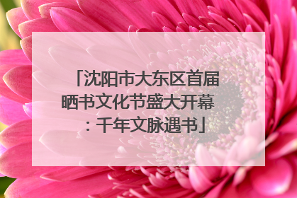 沈阳市大东区首届晒书文化节盛大开幕：千年文脉遇书