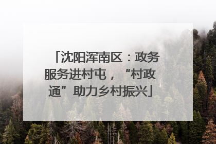 沈阳浑南区：政务服务进村屯，“村政通”助力乡村振兴