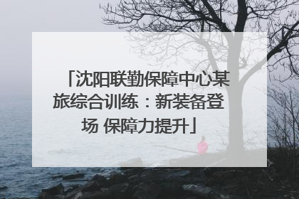 沈阳联勤保障中心某旅综合训练：新装备登场 保障力提升