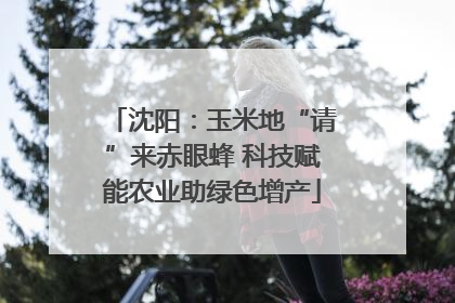 沈阳：玉米地“请”来赤眼蜂 科技赋能农业助绿色增产