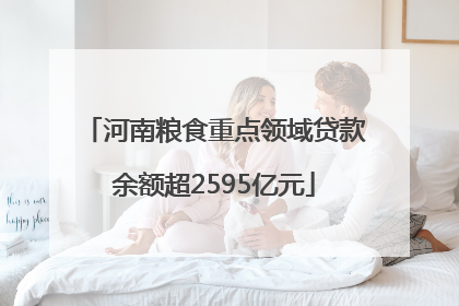 河南粮食重点领域贷款余额超2595亿元