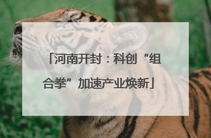 河南开封：科创“组合拳”加速产业焕新
