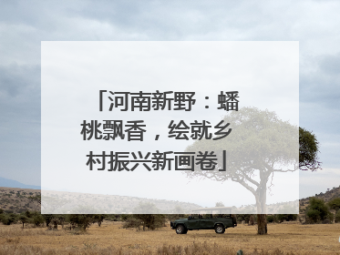 河南新野：蟠桃飘香，绘就乡村振兴新画卷