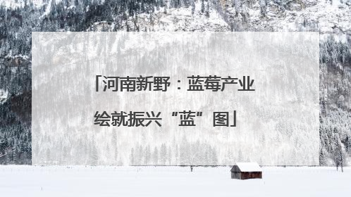 河南新野：蓝莓产业绘就振兴“蓝”图